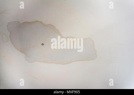 Innenraum Wasserflecken an der Decke Schimmel Disrepair Schäden Fliesen. Stockfoto