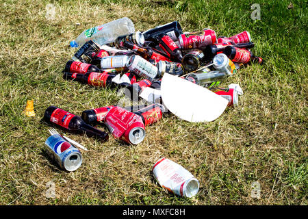 Verworfen, leere Flaschen und Bierdosen Festlegung auf Gras Stockfoto