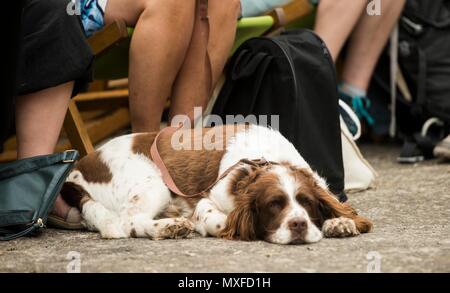 Bad und West Show Stockfoto