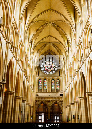 Gewölbte Dach über der Glasmalerei rose Fenster und Säulen des Kirchenschiffs der Viktorianischen Kathedrale von Truro, Cornwall, Großbritannien Stockfoto