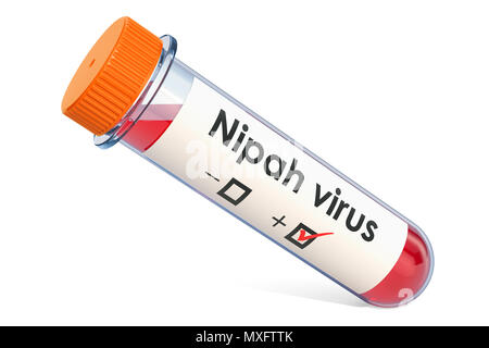 Reagenzglas mit Blut Probe Positiv mit Nipah Virus, 3D-Rendering auf weißem Hintergrund Stockfoto