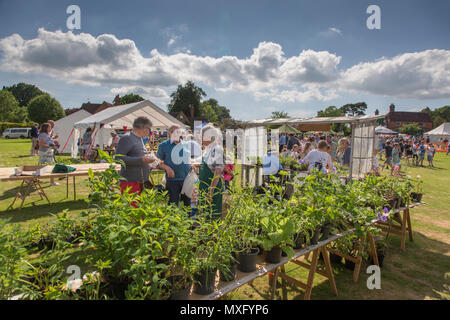 Englisch Dorffest in Lurgashall Sussex. Traditionelle Fete mit Verkaufsständen Kaffee Zelt, Musik und Spiele. Stockfoto