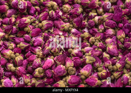 Leuchtend rosa Blüten sind kleine Rosen für Tee, Fotografie bei geringer Tiefenschärfe. Stockfoto