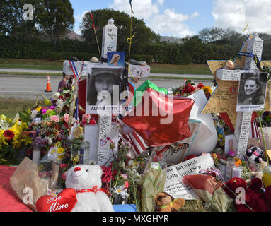 PARKLAND, FL - Februar 23 Schüsse erklang für 4 Minuten als bewaffnete Stellvertretender gewartet, wo 17 Menschen ermordet wurden. Schüler und Lehrer zurück zu Marjory Stoneman Douglas High School am 23. Februar in Parkland, Florida 2018. Personen: Marjory Stoneman Douglas High School Credit: hoo-me.com/MediaPunch Stockfoto