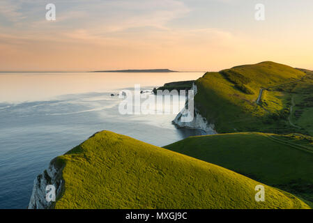 Blumen Barrow, East Lulworth, Dorset, Großbritannien. 3. Juni 2018. Blick über die Bucht und Worbarrow Mupe Bay auf der Isle of Portland aus der Eisenzeit Hill fort von Blumen Barrow am Lulworth Armee an der Jurassic Coast von Dorset, die durch herrlichen Sonnenschein am späten Abend kurz vor Sonnenuntergang beleuchtet wird. Dieser wunderschönen Küste hat begrenzten Zugang der Öffentlichkeit, da es eine Armee Feuern hat seit dem Zweiten Weltkrieg. Die Spaziergänge sind öffentlich an den meisten Wochenenden und in den Schulferien. Foto: Graham Jagd-/Alamy leben Nachrichten Stockfoto