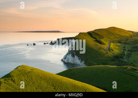 Blumen Barrow, East Lulworth, Dorset, Großbritannien. 3. Juni 2018. Blick über die Bucht und Worbarrow Mupe Bay auf der Isle of Portland aus der Eisenzeit Hill fort von Blumen Barrow am Lulworth Armee an der Jurassic Coast von Dorset, die durch herrlichen Sonnenschein am späten Abend kurz vor Sonnenuntergang beleuchtet wird. Dieser wunderschönen Küste hat begrenzten Zugang der Öffentlichkeit, da es eine Armee Feuern hat seit dem Zweiten Weltkrieg. Die Spaziergänge sind öffentlich an den meisten Wochenenden und in den Schulferien. Foto: Graham Jagd-/Alamy leben Nachrichten Stockfoto