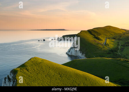 Blumen Barrow, East Lulworth, Dorset, Großbritannien. 3. Juni 2018. Blick über die Bucht und Worbarrow Mupe Bay auf der Isle of Portland aus der Eisenzeit Hill fort von Blumen Barrow am Lulworth Armee an der Jurassic Coast von Dorset, die durch herrlichen Sonnenschein am späten Abend kurz vor Sonnenuntergang beleuchtet wird. Dieser wunderschönen Küste hat begrenzten Zugang der Öffentlichkeit, da es eine Armee Feuern hat seit dem Zweiten Weltkrieg. Die Spaziergänge sind öffentlich an den meisten Wochenenden und in den Schulferien. Foto: Graham Jagd-/Alamy leben Nachrichten Stockfoto