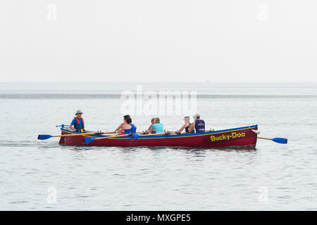 West Bay, Dorset, Großbritannien. 4. Juni 2018. UK Wetter. Gig Ruderer auf dem Wasser in Ihrem Boot Bucky-Doo in den Badeort West Bay in Dorset an einem Tag des warmen Temperaturen und Sonne. Foto: Graham Jagd-/Alamy leben Nachrichten Stockfoto