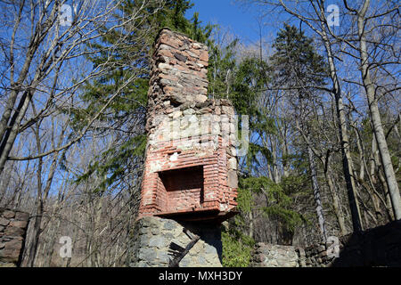 Kamin und Schornstein des kornischen Immobilien Ruinen im Wald Stockfoto