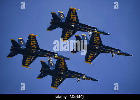 161105-N-UK 306-167 Jacksonville Beach, Fla (Nov. 5, 2016) F/A-18C Hornet von der US-Navy Flight Demonstration Squadron, die Blue Angels, führen Sie eine Antenne Demonstration während das Meer 2016 und Himmel Spektakuläre in Jacksonville Beach. Das zeigen auch empfohlene Antenne Leistungen durch andere militärische und zivile Flug Teams, Live-Unterhaltung und die Möglichkeit militärischer Flugzeuge und Fahrzeuge und die US Special Operations Command Parachute Team zu sehen. (U.S. Marine Foto von Petty Officer 2nd class Timothy Schumaker/Freigegeben) Stockfoto