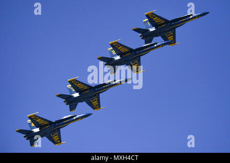 161105-N-UK 306-314 Jacksonville Beach, Fla (Nov. 5, 2016) F/A-18C Hornet von der US-Navy Flight Demonstration Squadron, die Blue Angels, führen Sie eine Antenne Demonstration während das Meer 2016 und Himmel Spektakuläre in Jacksonville Beach. Das zeigen auch empfohlene Antenne Leistungen durch andere militärische und zivile Flug Teams, Live-Unterhaltung und die Möglichkeit militärischer Flugzeuge und Fahrzeuge und die US Special Operations Command Parachute Team zu sehen. (U.S. Marine Foto von Petty Officer 2nd class Timothy Schumaker/Freigegeben) Stockfoto