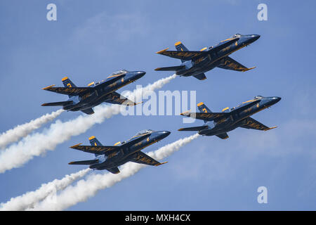 161105-N-UK 306-368 Jacksonville Beach, Fla (Nov. 5, 2016) F/A-18C Hornet von der US-Navy Flight Demonstration Squadron, die Blue Angels, führen Sie eine Antenne Demonstration während das Meer 2016 und Himmel Spektakuläre in Jacksonville Beach. Das zeigen auch empfohlene Antenne Leistungen durch andere militärische und zivile Flug Teams, Live-Unterhaltung und die Möglichkeit militärischer Flugzeuge und Fahrzeuge und die US Special Operations Command Parachute Team zu sehen. (U.S. Marine Foto von Petty Officer 2nd class Timothy Schumaker/Freigegeben) Stockfoto