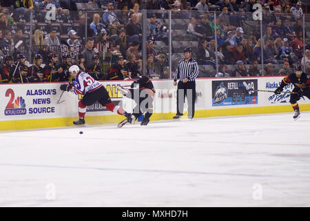 Alaska Aces defenseman Mackenze Stewart erhält das Beste von Indianapolis Kraftstoff, Kevin Lynch, November 12, 2016, an der Sullivan Arena in Anchorage, Alaska. Das Alaska Aces ECHL Hockey Team bewirtet der Indianapolis Kraftstoff während der militärischen Anerkennung spiele Nov. 9, 11 und 12 an der Sullivan Arena. (U.S. Army National Guard Foto von Sgt. David Bedard) Stockfoto