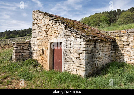 Ein rustikales Steinhaus steht in einer Ecke in einem Weinberg in der Nähe von Gevrey-Chambertin in der Region Burgund in Frankreich. Stockfoto