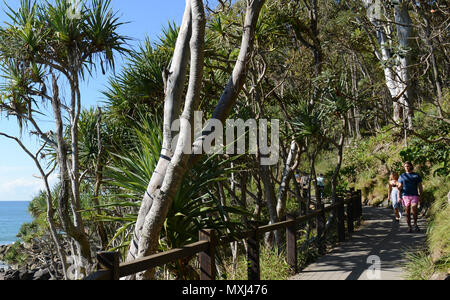 Wanderer und Surfer auf dem Coastal Trail in Noosa Nationalpark in Queensland. Stockfoto