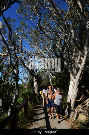 Wanderer und Surfer auf dem Coastal Trail in Noosa Nationalpark in Queensland. Stockfoto