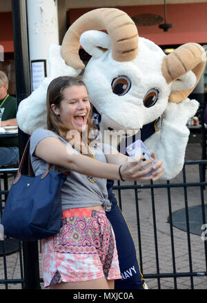 161104-N-PP 197-266 Jacksonville, Fla., (4. November 2016) Mitglied der Öffentlichkeit nimmt eine selfie mit Bill die Ziege, die Maskottchen für die Naval Academy Midshipmen, an der Jacksonville Landing in der Innenstadt von Jacksonville. Beide waren an der pep Rally zu helfen Projektstart Marine gegen Notre Dame Spiel Wochenende. Navy ging auf Notre Dame, 28-27 zu schlagen. (U.S. Marine Foto von Petty Officer 1st Class Stacy D. Laseter/Freigegeben) Stockfoto