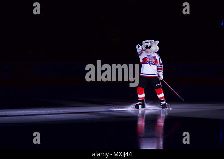 Boomer, der Alaska Aces Maskottchen, grüßt der Gast, November 12, 2016, an der Sullivan Arena in Anchorage, Alaska. Das Alaska Aces ECHL Hockey Team bewirtet der Indianapolis Kraftstoff während der militärischen Anerkennung spiele Nov. 9, 11 und 12 an der Sullivan Arena. (U.S. Army National Guard Foto von Sgt. David Bedard) Stockfoto