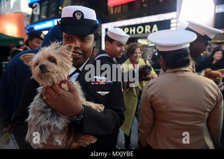 161111-N-QJ850-119 NEW YORK (11. November 2016) Matrosen und Marinesoldaten spielen mit Welpen am Set von "Good Morning America." Amphibischer Angriff Schiff USS Iwo Jima partizipiert an Veteranen Woche New York City 2016, den Service von unserer Nation Veteranen Ehren. Das Schiff vor kurzem aus der humanitären Hilfsmission nach Haiti zurückgekehrt, in der Nachmahd des Hurrikans Matthew. (Foto: U.S. Navy Petty Officer 2. Klasse Andrew Murray/freigegeben) Stockfoto