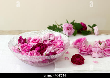 Rosen und Rosenblätter, Rosen. Im rustikalen Stil. Stockfoto