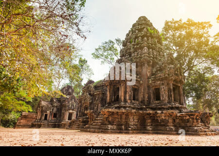 SIEM REAP - Januar 04, 2015: Historische Ruinen mit kunstvollen Steinmetzarbeiten in Angkor Komplex am 04 Januar, 2015 in Siem Reap, Kambodscha. Stockfoto