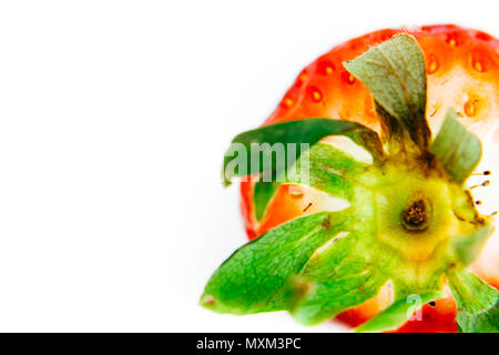 Frische und natürliche rote Erdbeere extreme Makro Foto, mit grünen Blättern, auf eine nahtlose weißem Hintergrund als Grenze Rahmen mit großen, leeren spac Stockfoto