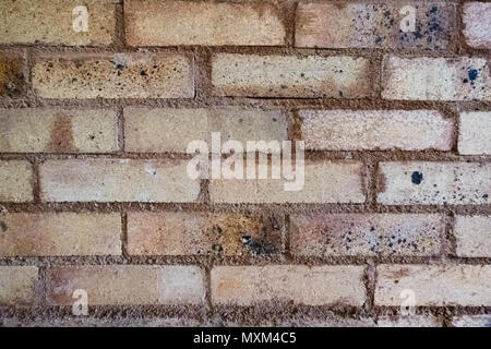 Wand einer handgefertigten Ziegel Herd Stockfoto