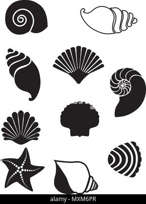 Vector Illustration von Muscheln. Seashell Silhouetten auf weißem Hintergrund Stock Vektor