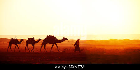 Horizontale Banner mit Wohnwagen der Kamele in der Wüste Sahara, Marokko. Treiber - Berber mit drei Kamele Dromedar auf sunrise Himmel Hintergrund Stockfoto