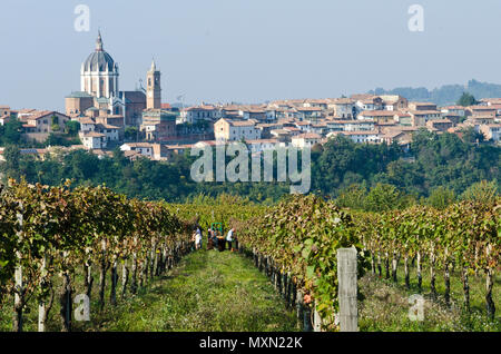 Italien, Panorama der Weinberge des Piemont: Langhe-Roero und Monferrato auf der Liste des Weltkulturerbes der UNESCO. Die Ernte in Fontanile d'Asti Italien, Piedmo Stockfoto