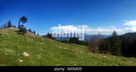 Panoramablick auf Berge Bucegi auf Feder, Teil der Karpaten von Rumänien Stockfoto