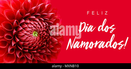 Feliz Dia Dos Namorados! (Text in Portugiesisch: Happy Valentine's Day!) und hellen roten Dahlie Blume details Makro Foto als Grenze Rahmen mit breiten Banne Stockfoto