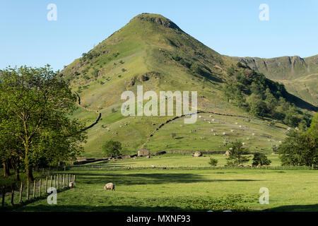 Hohe Hartsop Dodd aus dem Sykeside zu Hartsop Halle weg, Lake District, Cumbria, UK. Stockfoto