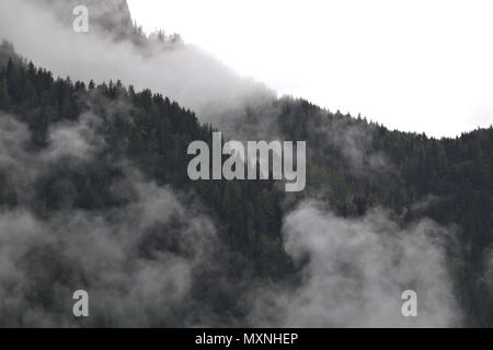 Nebel Wolken steigen von Dark Mountain Forest Stockfoto