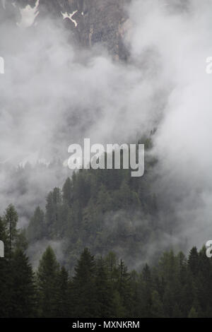 Nebel Wolken steigen von Dark Mountain Forest Stockfoto