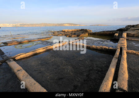 Sommer Blick auf die Salinen, St. Paul's Bay, Bugibba, Malta. Stockfoto