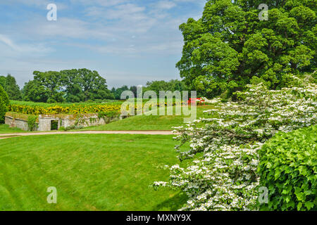 CAWDOR CASTLE NAIRN SCHOTTLAND ÜBERBLICK ZU WALLED GOLDREGEN GARTEN UND ROTEN BANK unter einem Baum Stockfoto