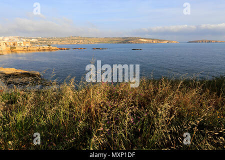 Sommer Blick auf Saint Paul's Bay, Bugibba, Malta. Stockfoto