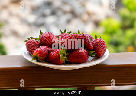 Reife Beeren Rote Erdbeere auf den Teller, stehend auf dem Geländer der Zaun, einem unscharfen Hintergrund Stockfoto