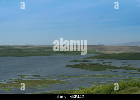 Landschaft von Myvatn See vom Berg, Island Stockfoto