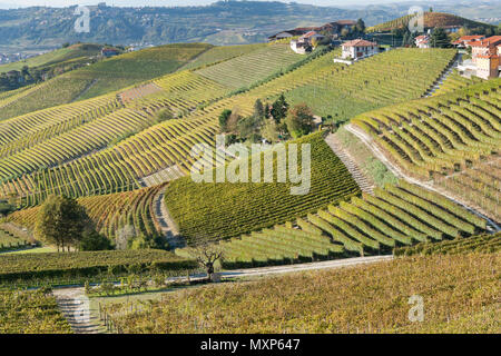 Italien, Panorama der Weinberge des Piemont: Langhe-Roero und Monferrato auf der Liste des Weltkulturerbes der UNESCO. Landschaft im Herbst in der Nähe von Barbaresco Italien, Pi Stockfoto