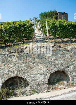 Italien, Panorama der Weinberge des Piemont: Langhe-Roero und Monferrato auf der Liste des Weltkulturerbes der UNESCO. Strebepfeiler in Weinbergen von Santo Stefano Belb Stockfoto