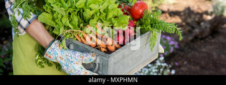 Nicht erkennbare Frau Bauer Holding Kiste voller frisch geerntete Gemüse in Ihrem Garten. Homegrown bio produzieren Konzept. Nachhaltiges Leben. Stockfoto