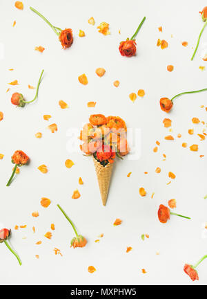 Waffel Kegel mit orange buttercup Blumen auf weißem Hintergrund Stockfoto