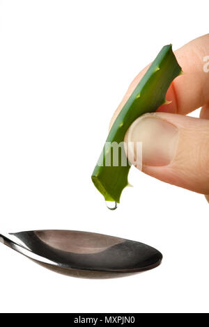 Finger quetschen Saft aus der Aloe vera in Löffel auf weißem Hintergrund Stockfoto