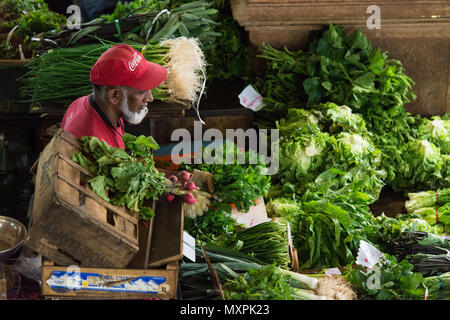 Ein stall Halter Handschuhe tragen, mit dem die Erzeugnisse in den Obst- und Gemüsemarkt, Port Louis, Mauritius Stockfoto