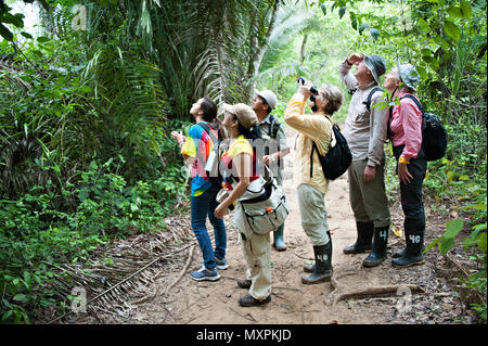Eine Führung durch die Amazon Wald in der Nähe von Puerto Maldonado Stockfoto