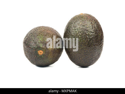 Zwei reife Avocados Hass isoliert auf weißem Hintergrund Stockfoto