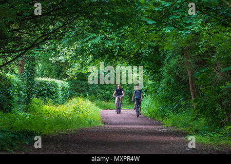 Ehemalige Bahnstrecke nun ein Rad- und Wanderweg mit schattenspendenden Bäumen. Stockfoto