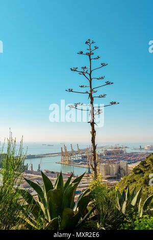 Blick vom Montjuïc auf Meer und Hafen von Barcelona mit Kreuzfahrt Liner. Stockfoto